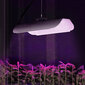 Augu audzēšanas lampa, 25 x 12 cm, 136 LED, 50 W, sudraba cena un informācija | Diedzēšanas trauki, augu lampas | 220.lv