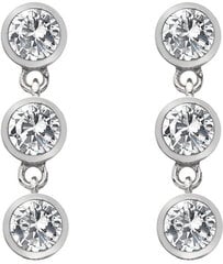 Hot Diamonds Серебряные серьги с топазами и настоящим бриллиантом Willow DE585 sHD1150 цена и информация | Серьги | 220.lv