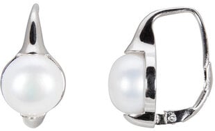 JwL Luxury Pearls JL0460 sJL0460 цена и информация | Серьги | 220.lv