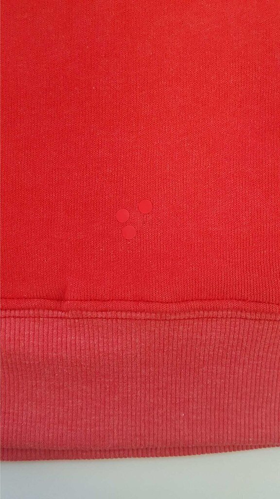 Džemperis sievietēm Wildfox, sarkans цена и информация | Sieviešu džemperi | 220.lv