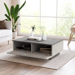 Dīvāna galds, Asir, 90x32x60 cm, pelēks cena un informācija | Žurnālgaldiņi | 220.lv
