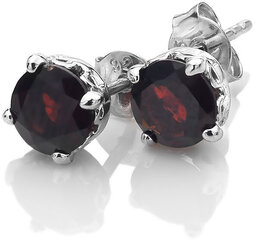 Hot Diamonds Серебряные серьги Hot Diamonds Anais Garnet AE001 sHD0961 цена и информация | Серьги | 220.lv