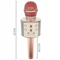 Bērnu karaoke mikrofons ar skaļruni, rozā cena un informācija | Attīstošās rotaļlietas | 220.lv