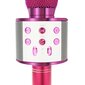Bērnu karaoke mikrofons ar skaļruni, rozā cena un informācija | Attīstošās rotaļlietas | 220.lv