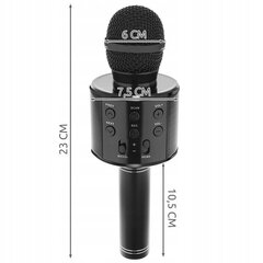 Bērnu karaoke mikrofons ar skaļruni, melns цена и информация | Развивающие игрушки | 220.lv