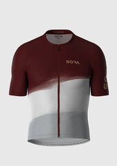 Футболка для велосипедиста Classic 2.0 (бордово-белыe) цена и информация | Одежда для велосипедистов | 220.lv
