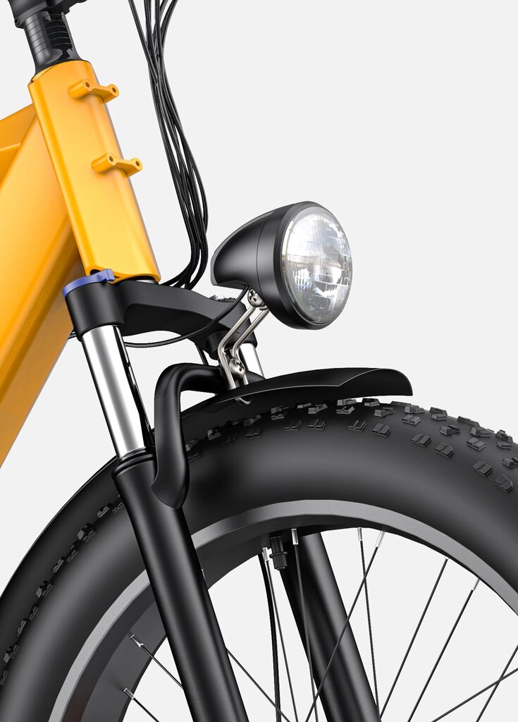 Elektriskais velosipēds ENGWE E26, pelēks, 250W, 16Ah цена и информация | Elektrovelosipēdi | 220.lv