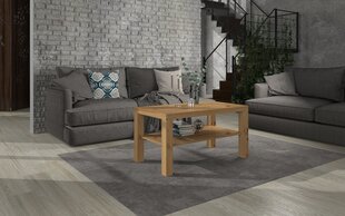 Kafijas galdiņš ADRK Furniture Gomez, 100x55cm, brūns cena un informācija | Žurnālgaldiņi | 220.lv