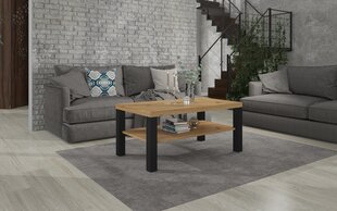 Kafijas galdiņš ADRK Furniture Sven, 115x65cm, brūns/melns цена и информация | Журнальные столики | 220.lv