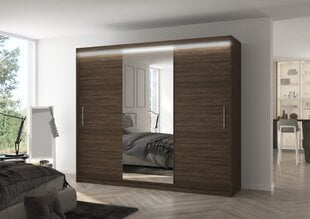 Шкаф ADRK Furniture со светодиодной подсветкой Denis 250, темно-коричневый цвет цена и информация | Шкафы | 220.lv