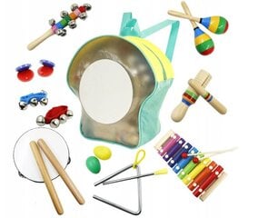 Bērnu instrumentu komplekts Ecotoys цена и информация | Развивающие игрушки | 220.lv