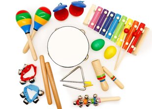 Bērnu instrumentu komplekts Ecotoys цена и информация | Развивающие игрушки | 220.lv