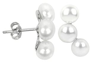 Sudraba auskari ar trim īstām pērlēm JwL Luxury Pearls JL0283 sJL0283 cena un informācija | Auskari | 220.lv