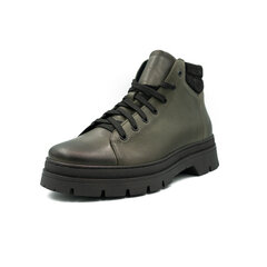 Ботинки мужские Nicolo Ferretti 5365RN1093, зеленые цена и информация | Мужские ботинки | 220.lv