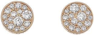 Hot Diamonds Серебряные серьги Hot Diamonds Emozioni Scintilla Rose Gold DE457 sHD0561 цена и информация | Серьги | 220.lv