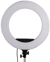 StudioKing LED круговой свет Set LED-480ASK цена и информация | Осветительное оборудование для фотосъемок | 220.lv
