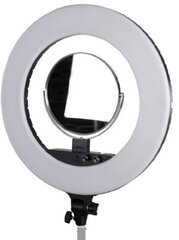 StudioKing LED круговой свет Set LED-480ASK цена и информация | Осветительное оборудование для фотосъемок | 220.lv