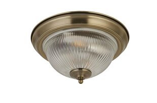 Searchlight griestu lampa American Diner 4370 цена и информация | Потолочные светильники | 220.lv