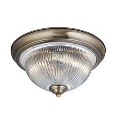 Searchlight griestu lampa American Diner 4370 цена и информация | Потолочные светильники | 220.lv