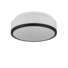 Searchlight griestu lampa CHEESE 7039-28BK цена и информация | Потолочные светильники | 220.lv