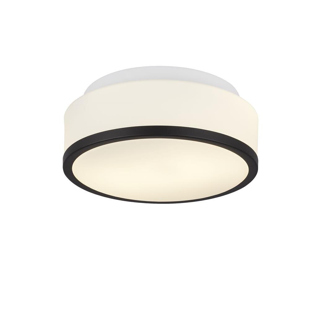 Searchlight griestu lampa CHEESE 7039-23BK cena un informācija | Griestu lampas | 220.lv