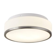 Searchlight griestu lampa CHEESE 7039-28SS цена и информация | Потолочные светильники | 220.lv