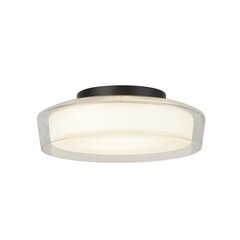 Searchlight griestu lampa PUCK 60961BK цена и информация | Потолочные светильники | 220.lv