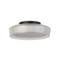 Searchlight griestu lampa PUCK 60961BK cena un informācija | Griestu lampas | 220.lv