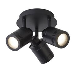 Searchlight потолочный светильник Samson 6603BK цена и информация | Потолочные светильники | 220.lv