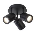 Searchlight griestu lampa SAMSON 6603BK