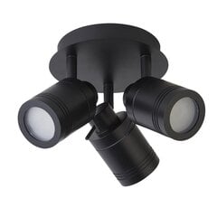 Searchlight griestu lampa SAMSON 6603BK цена и информация | Потолочные светильники | 220.lv