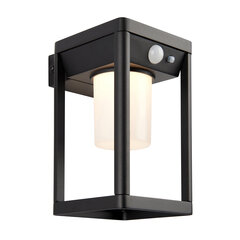 Endon āra sienas lampa Hallam solar LED 96928 цена и информация | Уличное освещение | 220.lv