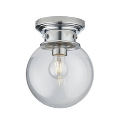 Endon vannas griestu lampa Sheswick 96138 цена и информация | Потолочные светильники | 220.lv