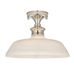Endon потолочная лампа Barford 96183 цена и информация | Потолочные светильники | 220.lv