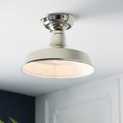 Endon griestu lampa Darton 96181 cena un informācija | Griestu lampas | 220.lv