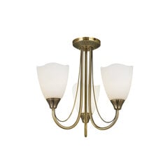 Endon griestu lampa Haughton 601-3AN цена и информация | Потолочные светильники | 220.lv