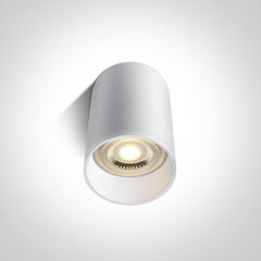 OneLight потолочный светильник Cylinders 12105E/W цена и информация | Потолочные светильники | 220.lv