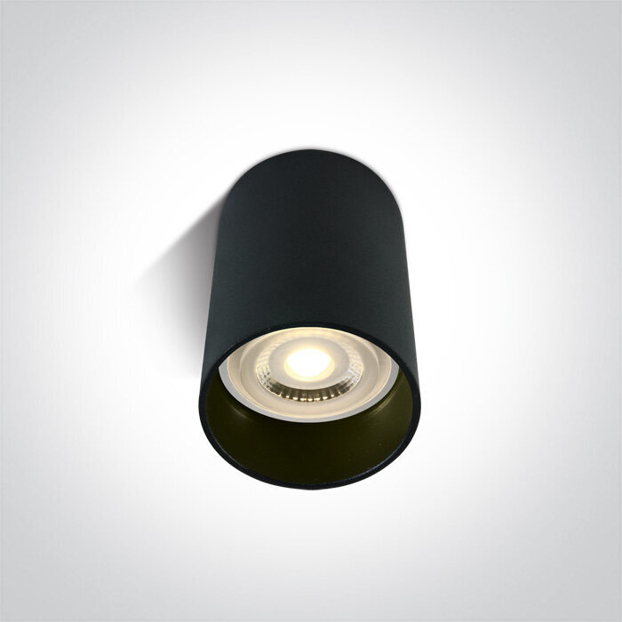 ONELight griestu lampa Cylinder 12105E/B цена и информация | Griestu lampas | 220.lv