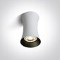 ONELight griestu lampa Cylinder 12105F/W цена и информация | Griestu lampas | 220.lv
