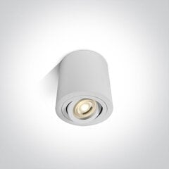 ONELight griestu lampa Round 12105AB/W cena un informācija | Griestu lampas | 220.lv