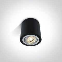 OneLight потолочный светильник Round 12105AB/B цена и информация | Потолочный светильник | 220.lv