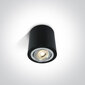 ONELight griestu lampa Round 12105AB/B цена и информация | Griestu lampas | 220.lv