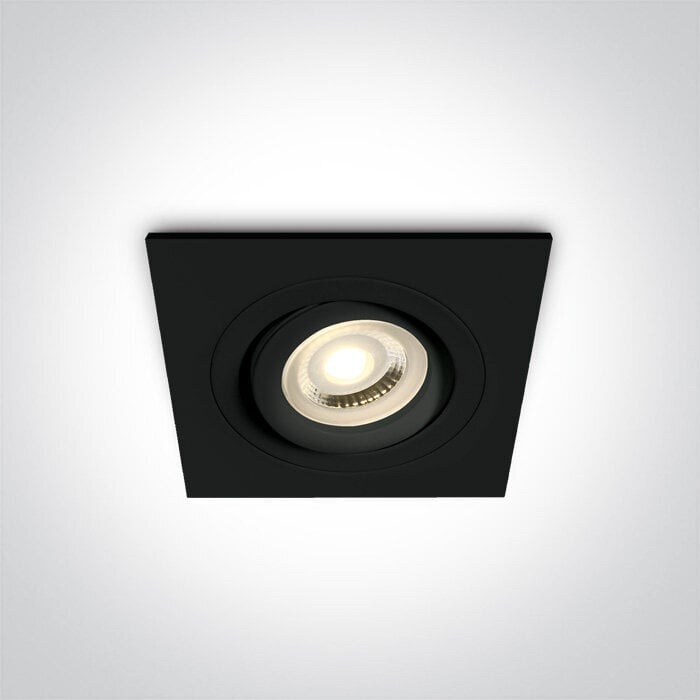 ONELight griestu lampa Ring Range 51105ABG/B cena un informācija | Griestu lampas | 220.lv
