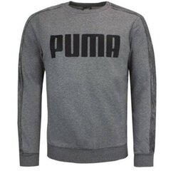Džemperis vīriešiem Puma 84446101, pelēks cena un informācija | Vīriešu jakas | 220.lv