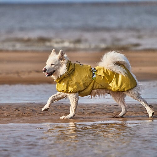 Atstarojošs lietusmētelis suņiem Hurtta Mudventure Reflective, dažādi izmēri, dzeltens цена и информация | Apģērbi suņiem | 220.lv