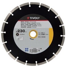 Dimanta disks Tivoly segment 125x22,2mm cena un informācija | Rokas instrumenti | 220.lv