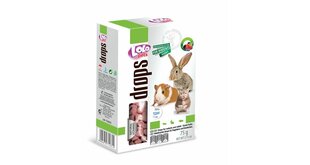 Kārumi grauzējiem LoLo Pets, 75 g cena un informācija | Barība grauzējiem | 220.lv