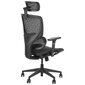 Biroja krēsls ErgoNew S1, melns cena un informācija | Biroja krēsli | 220.lv