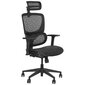 Biroja krēsls ErgoNew S1, melns cena un informācija | Biroja krēsli | 220.lv