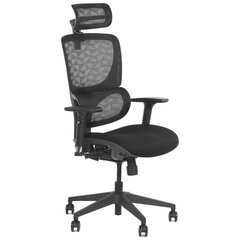 Офисный стул ErgoNew S1, тканевое сиденье, черный цена и информация | Офисные кресла | 220.lv
